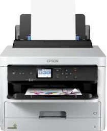 Epson WorkForce Pro WF-C5290DW Driver