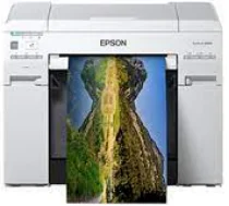 Epson SureLab D870 Driver